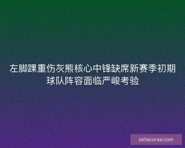 左脚踝重伤灰熊核心中锋缺席新赛季初期球队阵容面临严峻考验 左脚踝重伤灰熊核心中锋缺席新赛季初期球队阵容面临严峻考验